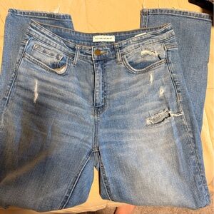 Flying Monkey Blue Distressed Boyfriend Jeans